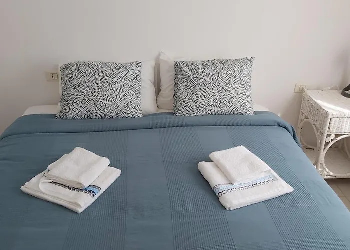 Vincent, Cozy And Sunny Over The Rooftops *