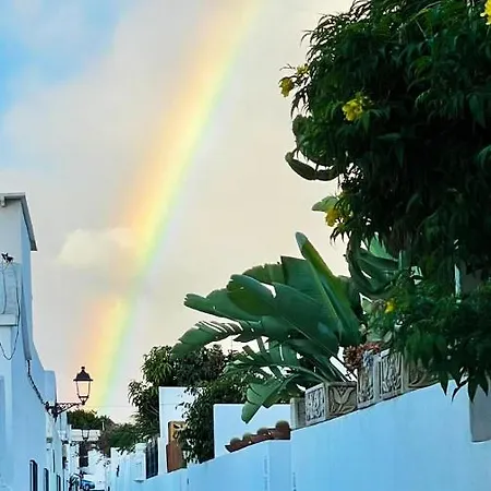 Vincent, Cozy And Sunny Over The Rooftops