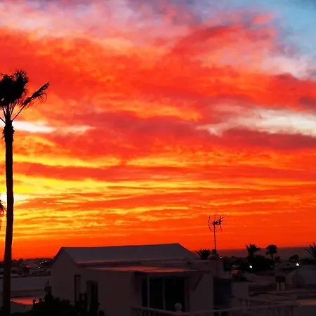 Vincent, Cozy And Sunny Over The Rooftops * פוארטו דל כרמן