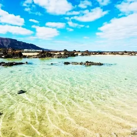 Vincent, Cozy And Sunny Over The Rooftops *