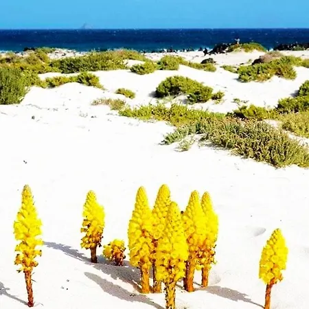 Vincent, Cozy And Sunny Over The Rooftops Apartament Puerto del Carmen (Lanzarote)