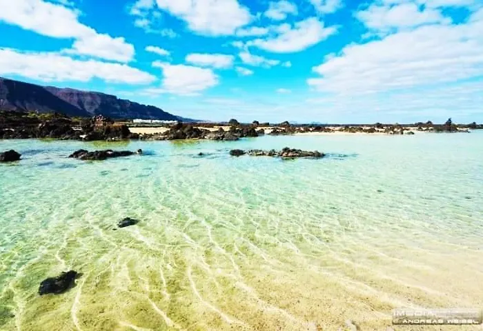 Vincent, Cozy And Sunny Over The Rooftops *