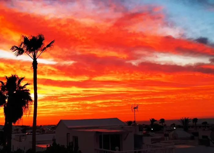 Vincent, Cozy And Sunny Over The Rooftops * 푸에르토 델 카르멘